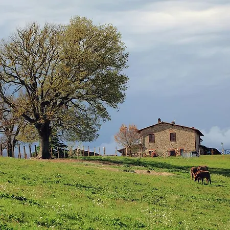 Podere Orzalume Piano Terra Alloggio per agriturismo *