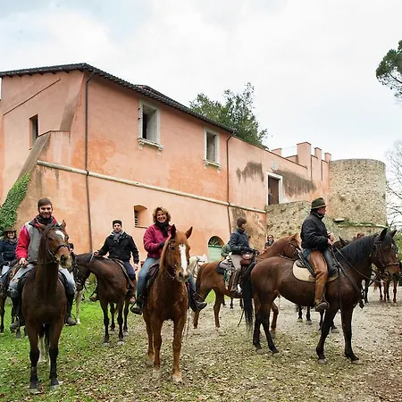 Podere Orzalume Piano Terra * Corbara (Umbria)