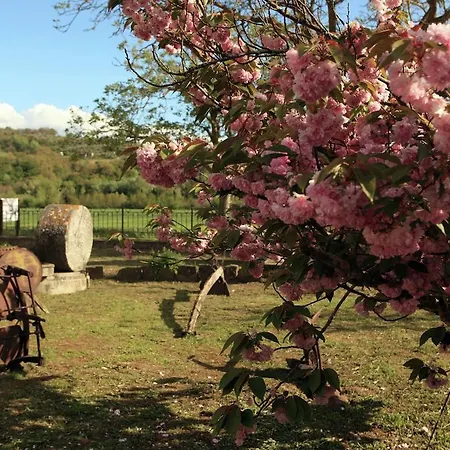Podere Orzalume Piano Terra Alloggio per agriturismo Corbara (Umbria)