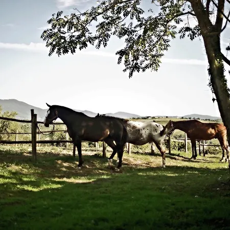 Alloggio per agriturismo Podere Orzalume Piano Terra Corbara (Umbria)